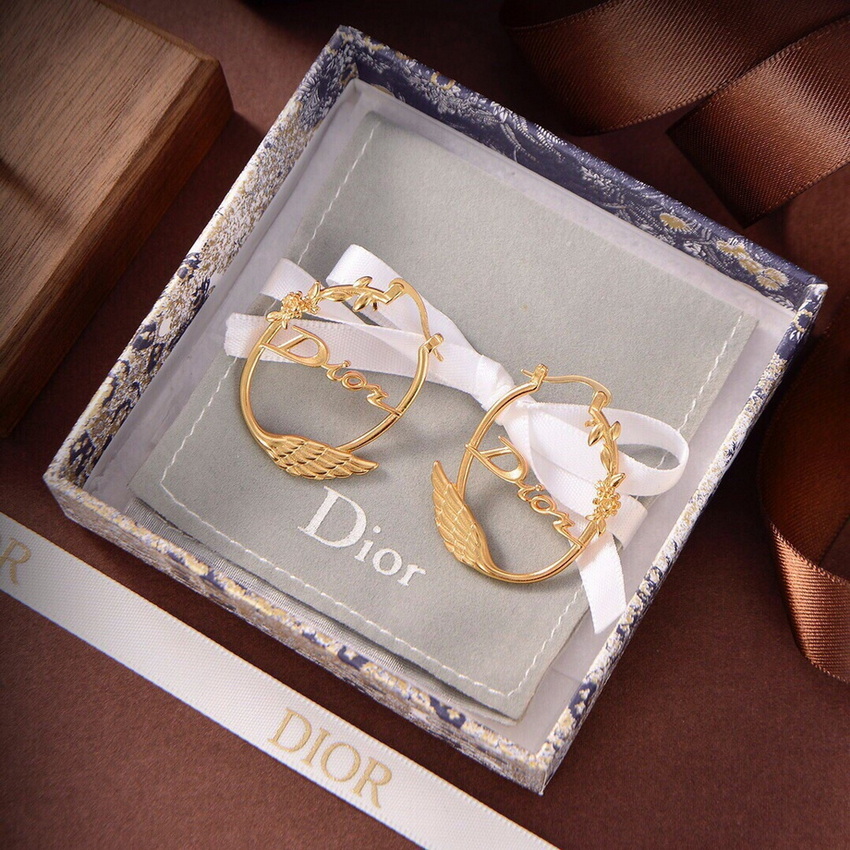 Dior Earrings-264