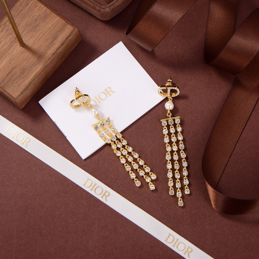 Dior Earrings-354