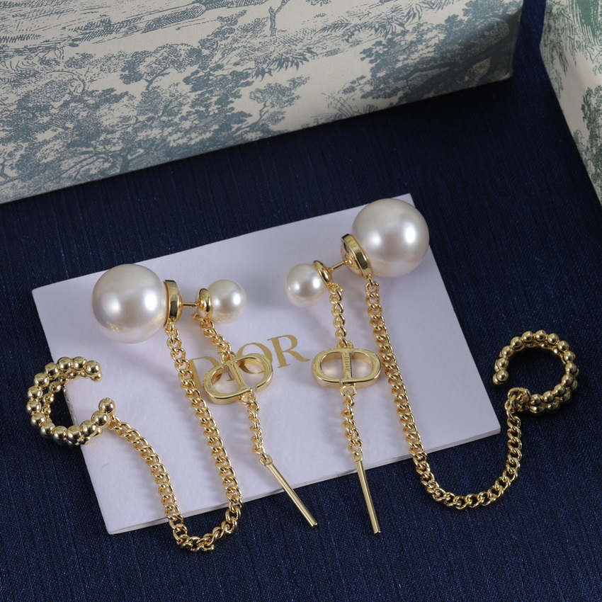 Dior Earrings-353