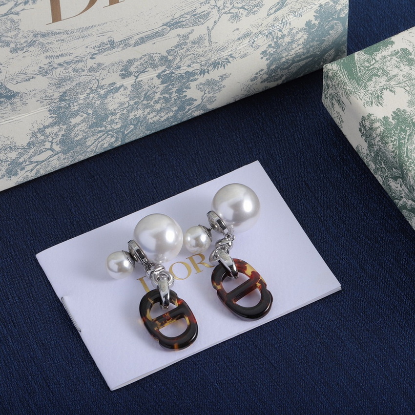 Dior Earrings-257