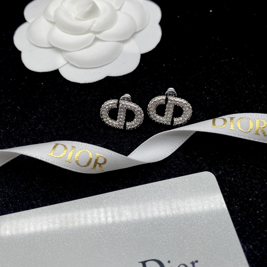 Dior Earrings-256