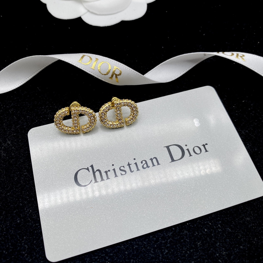 Dior Earrings-255