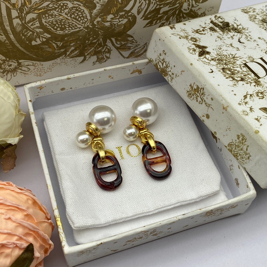 Dior Earrings-254