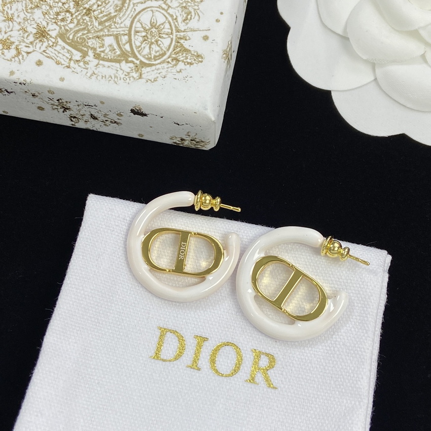 Dior Earrings-253