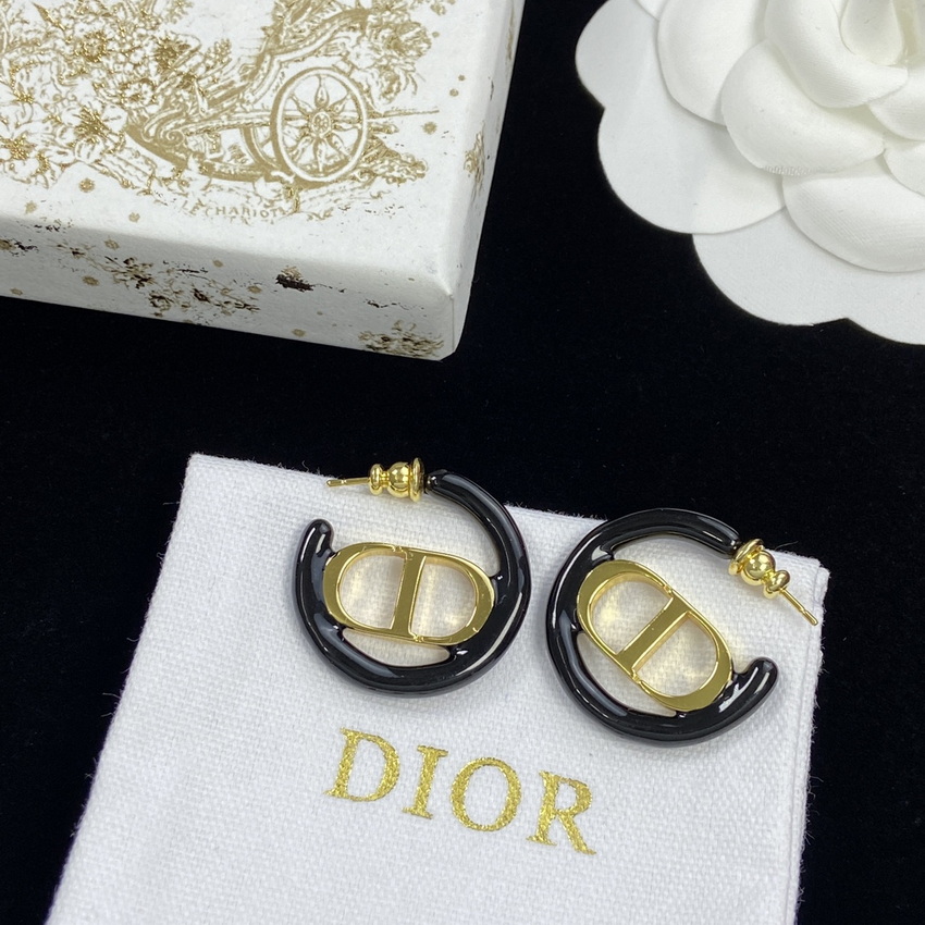 Dior Earrings-252