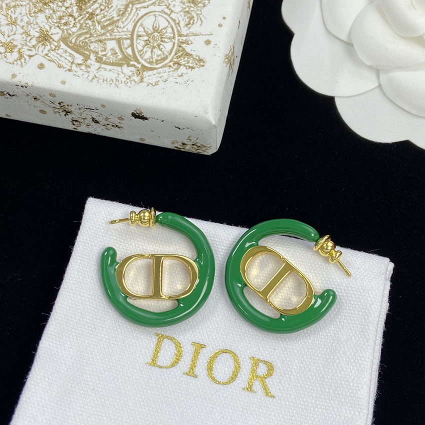 Dior Earrings-251