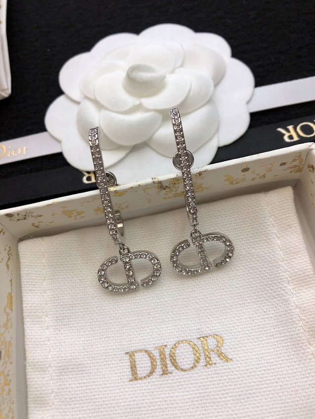 Dior Earrings-248