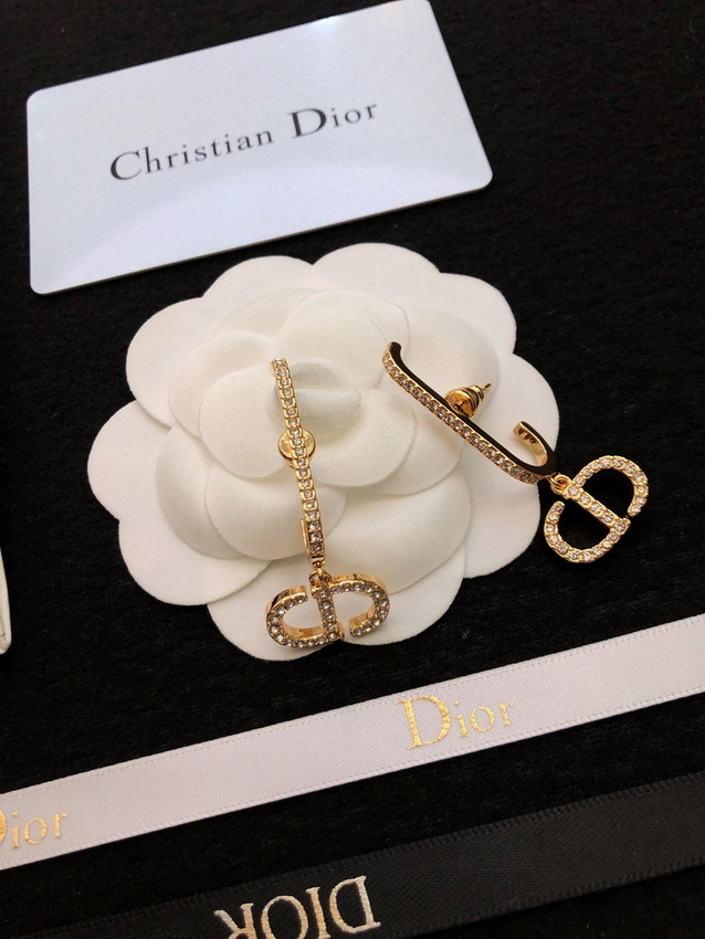 Dior Earrings-247