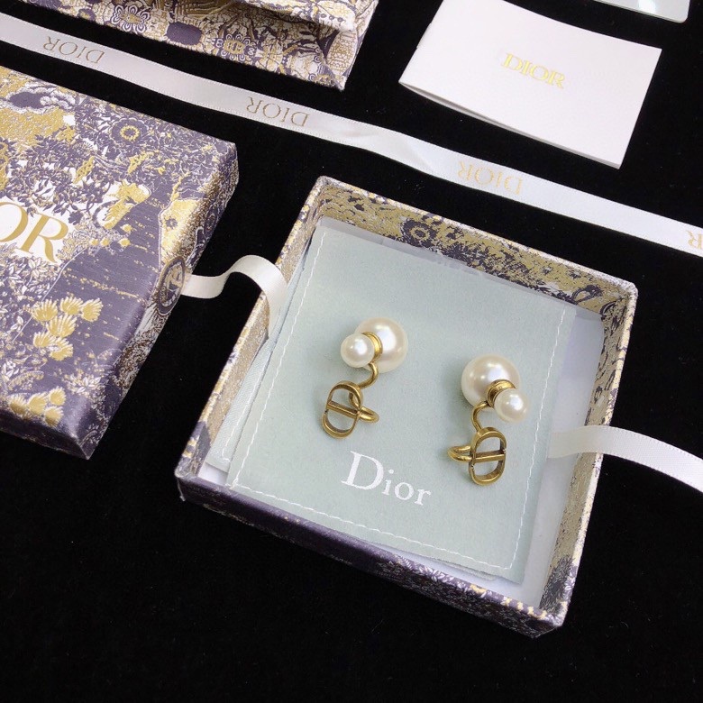 Dior Earrings-031