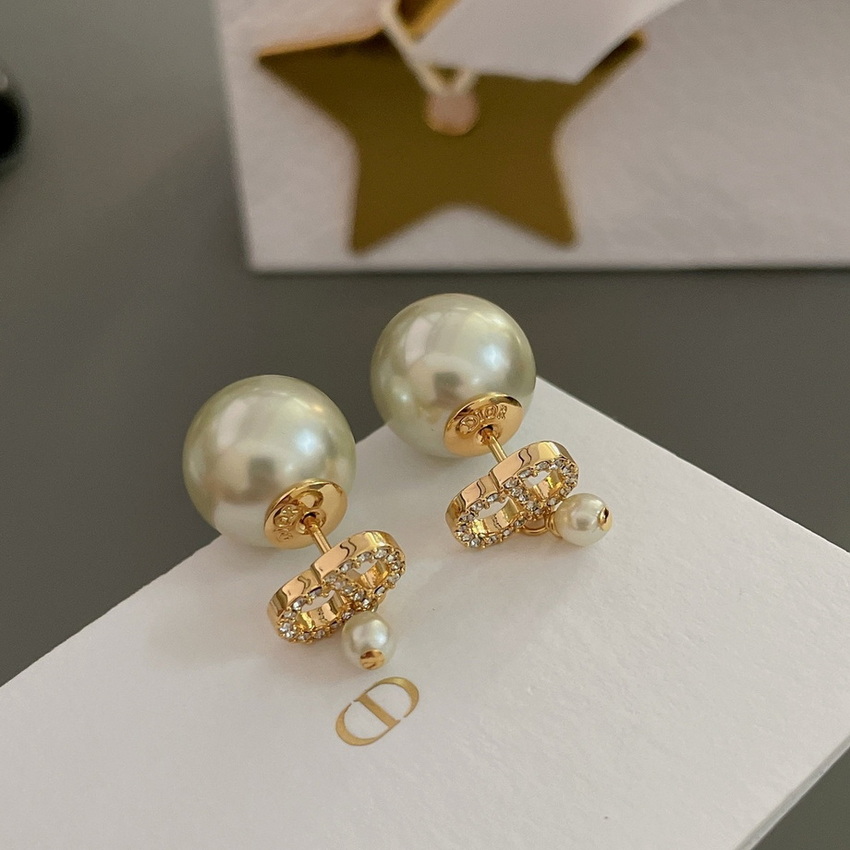 Dior Earrings-229