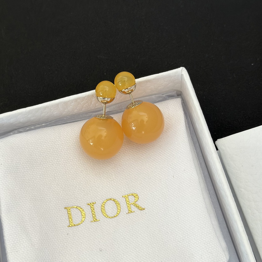 Dior Earrings-223