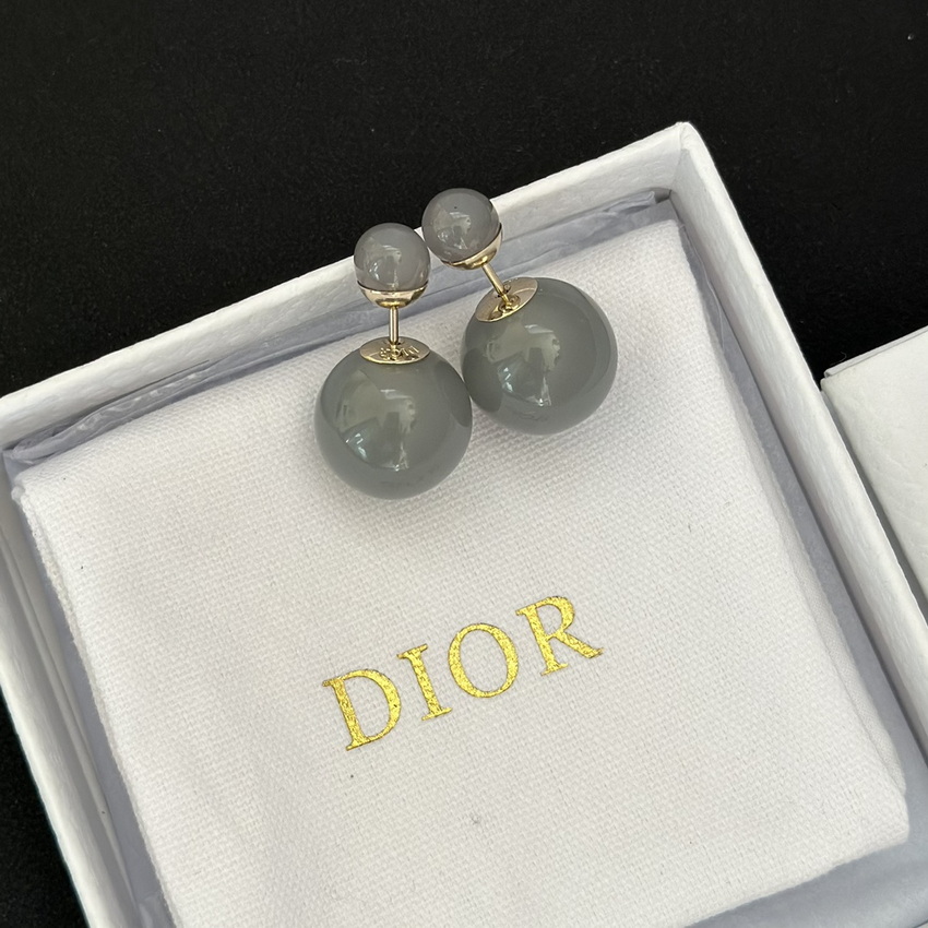 Dior Earrings-221