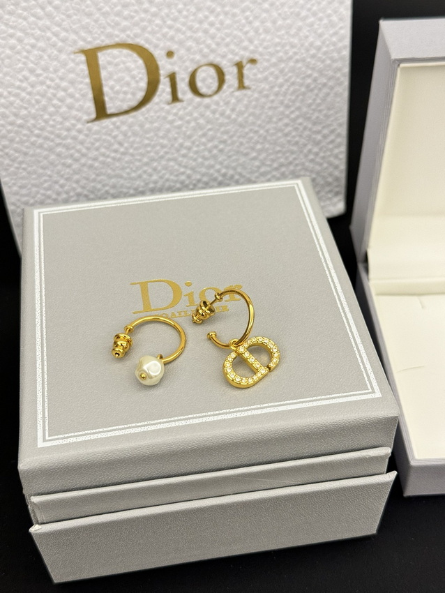 Dior Earrings-219