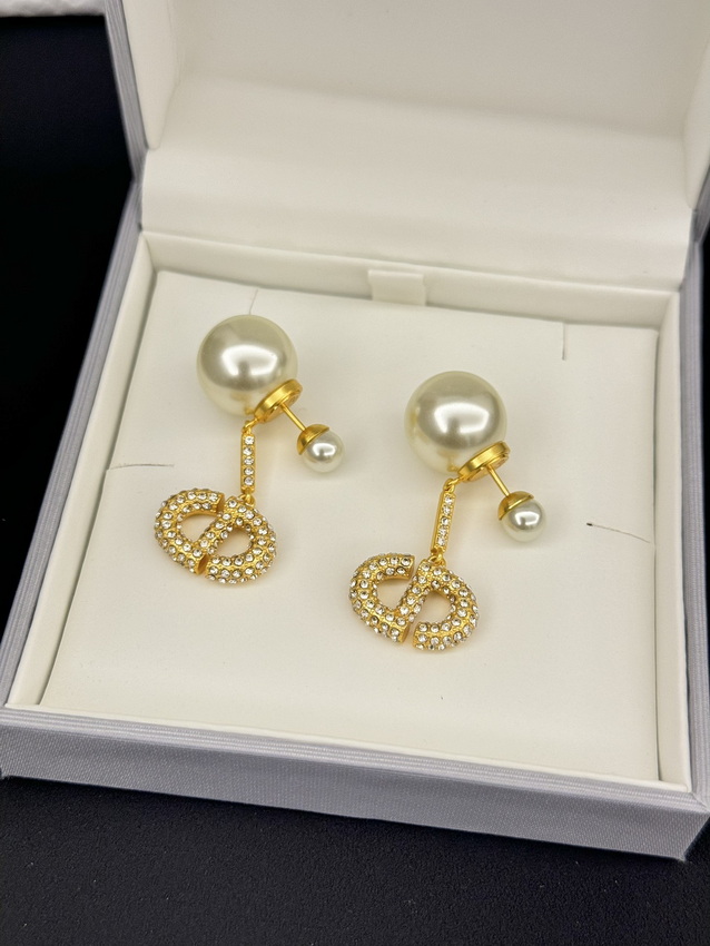 Dior Earrings-371