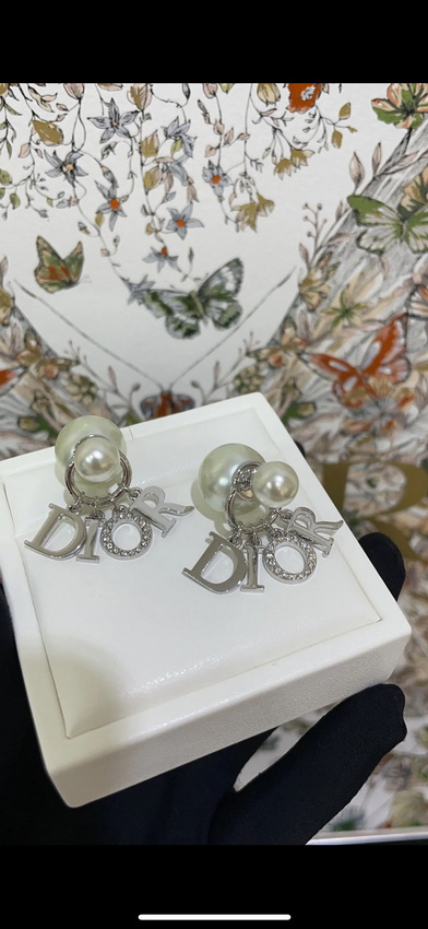 Dior Earrings-368