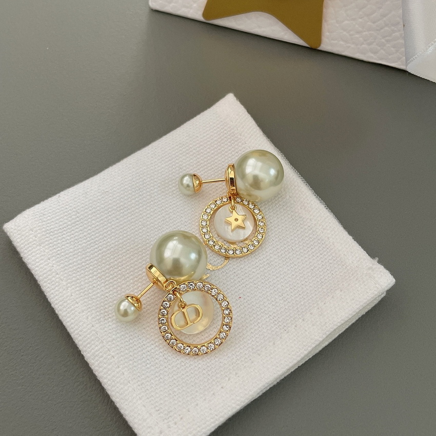 Dior Earrings-351