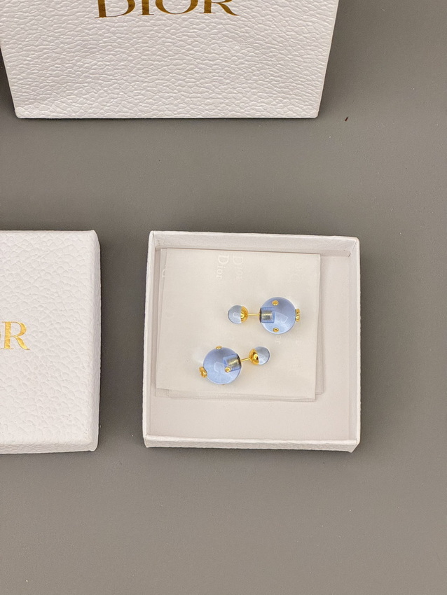 Dior Earrings-201