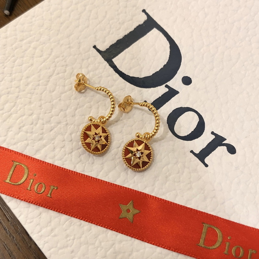 Dior Earrings-196