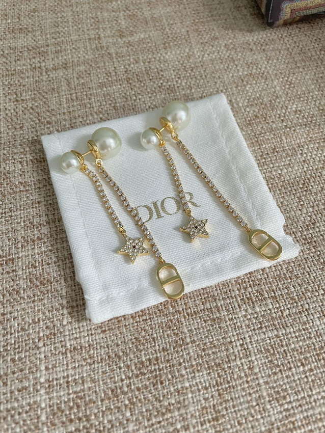 Dior Earrings-349
