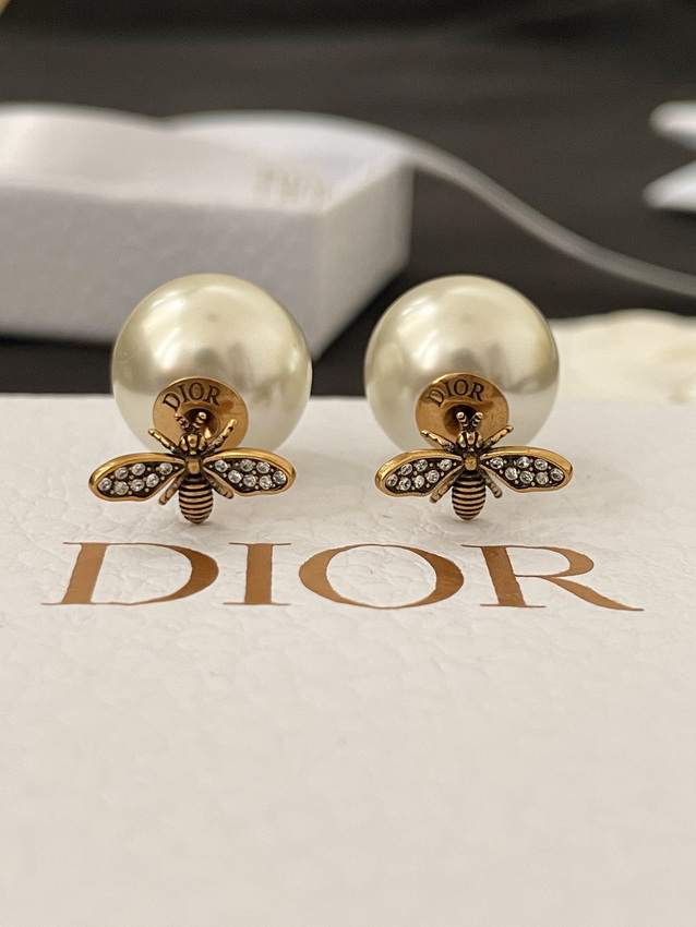 Dior Earrings-193