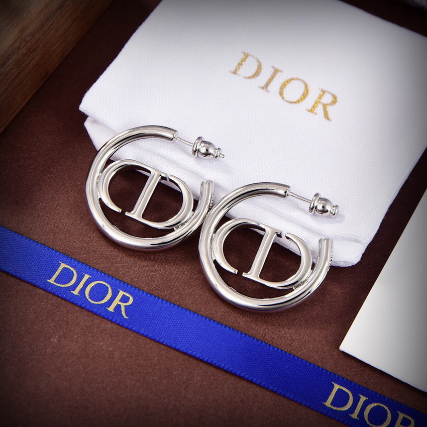Dior Earrings-191
