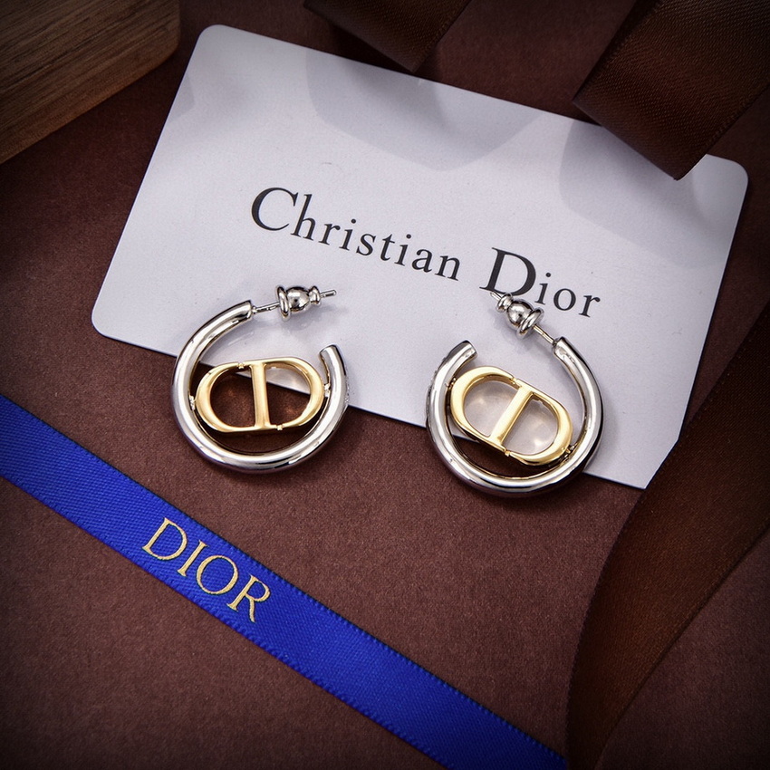 Dior Earrings-190