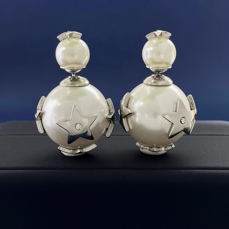 Dior Earrings-165