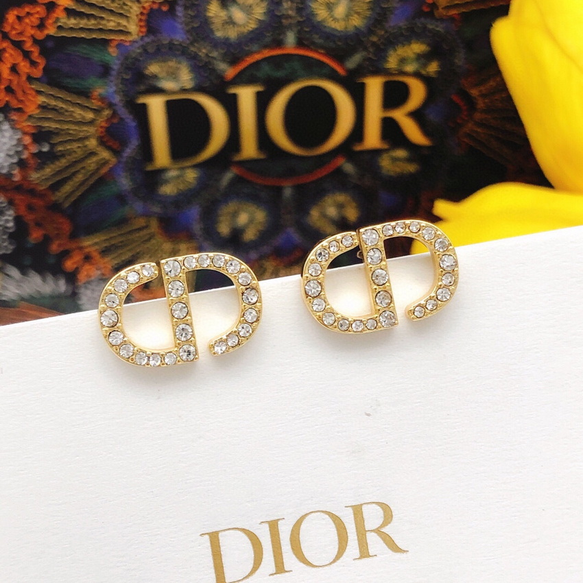 Dior Earrings-022
