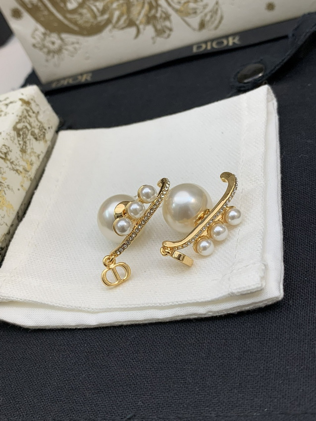 Dior Earrings-151