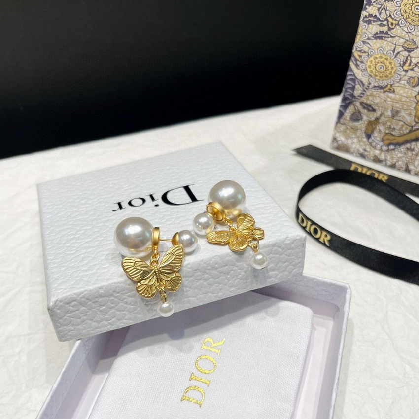 Dior Earrings-147