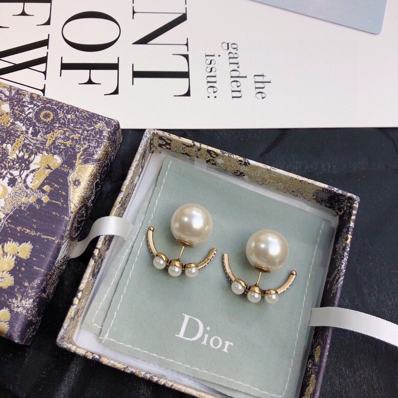 Dior Earrings-148