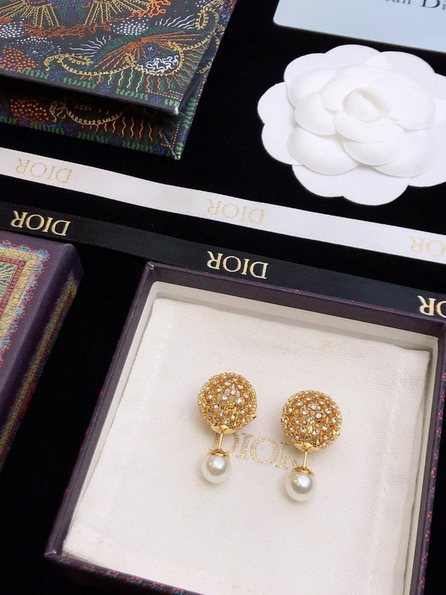 Dior Earrings-143