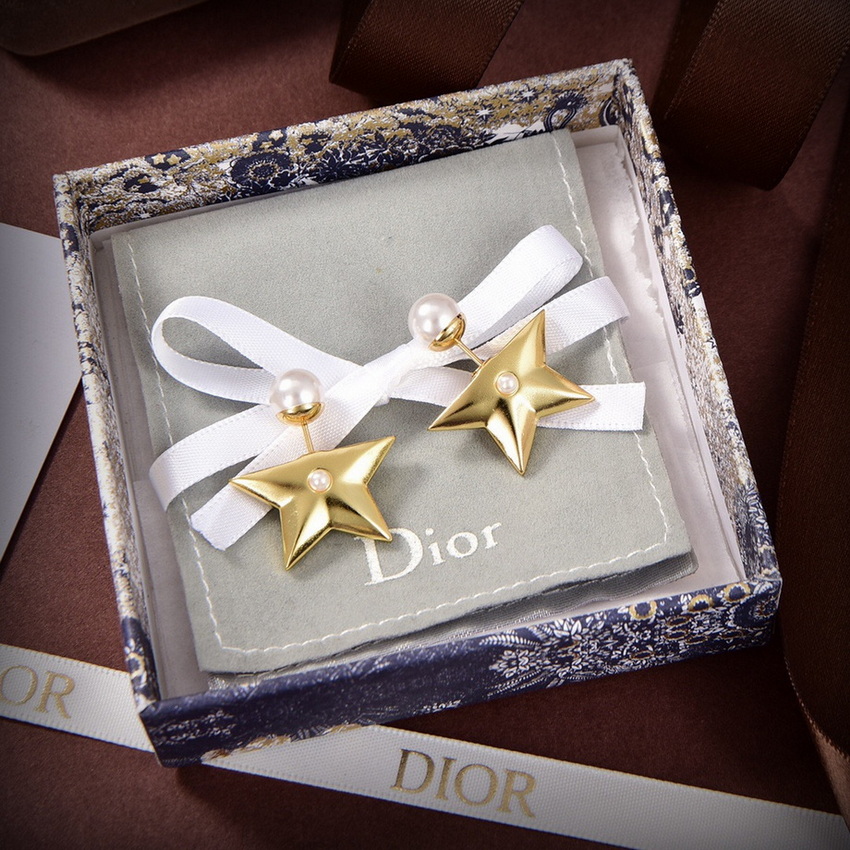 Dior Earrings-134