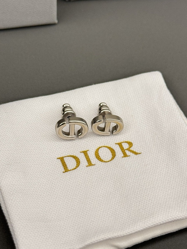 Dior Earrings-133