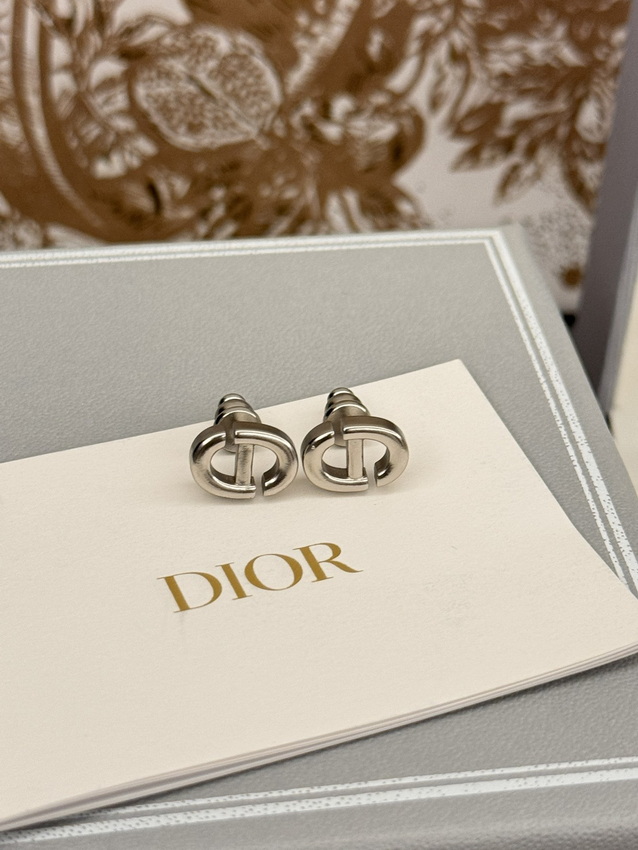 Dior Earrings-132
