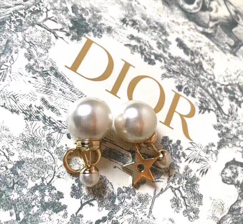 Dior Earrings-013