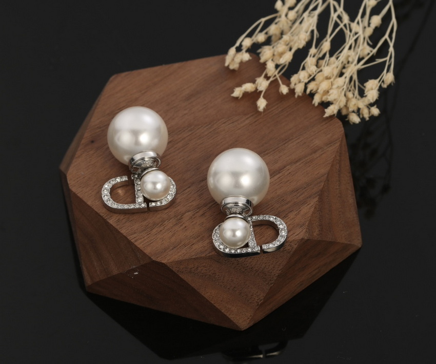 Dior Earrings-130