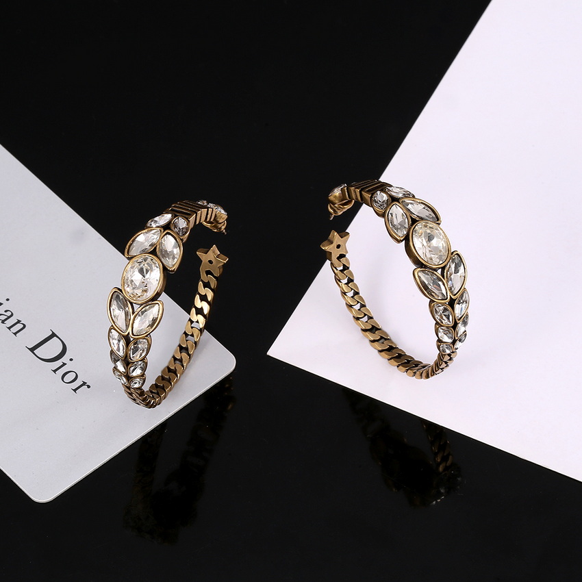 Dior Earrings-128