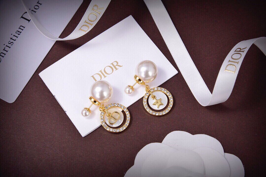 Dior Earrings-126