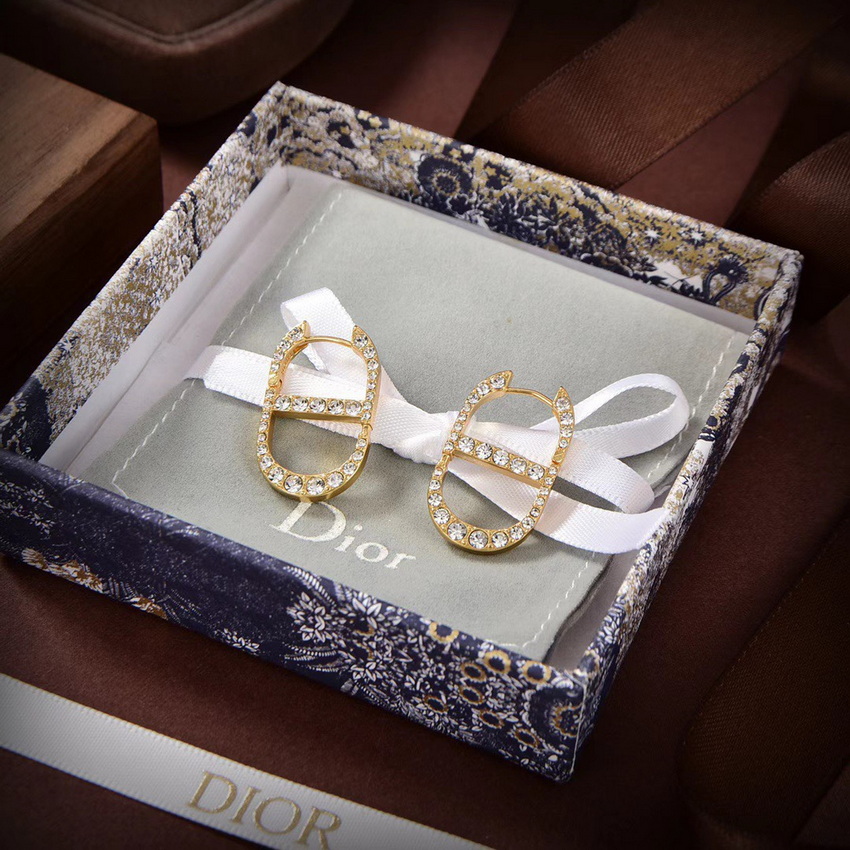 Dior Earrings-123