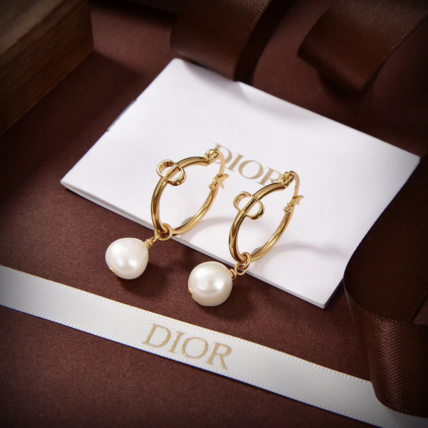 Dior Earrings-121