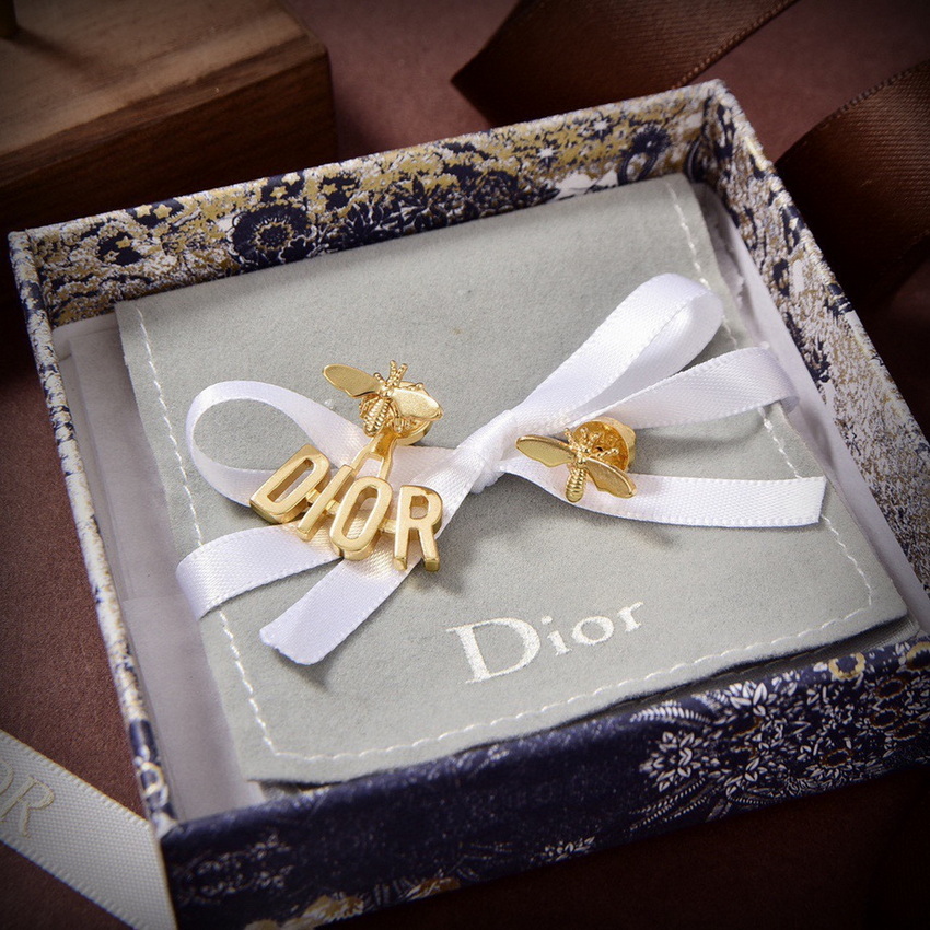 Dior Earrings-119