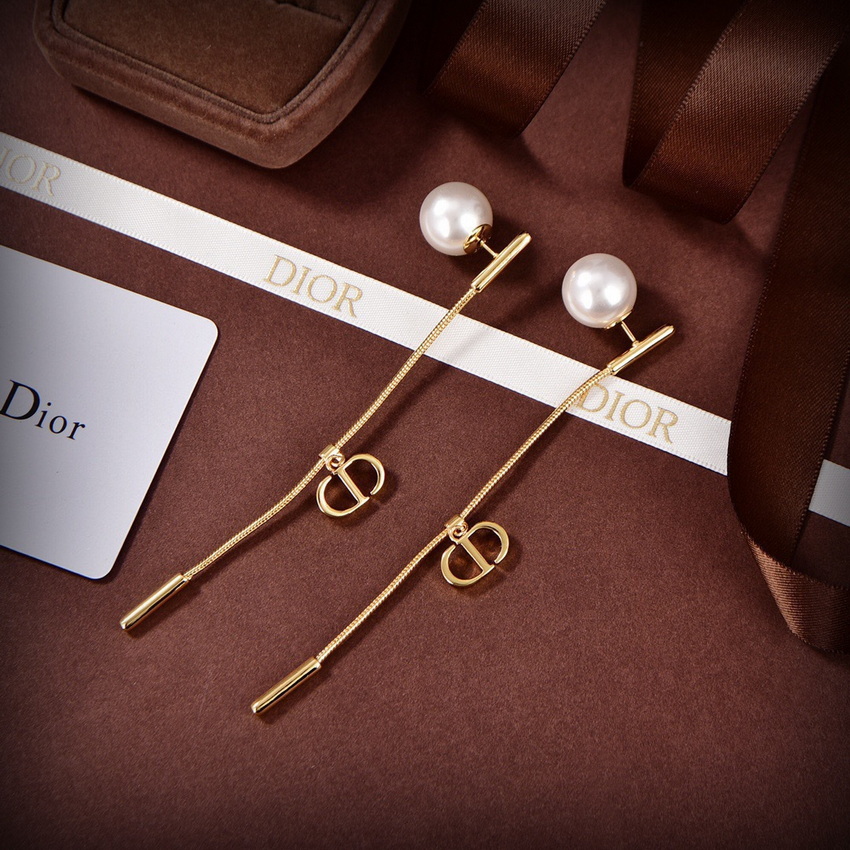 Dior Earrings-118