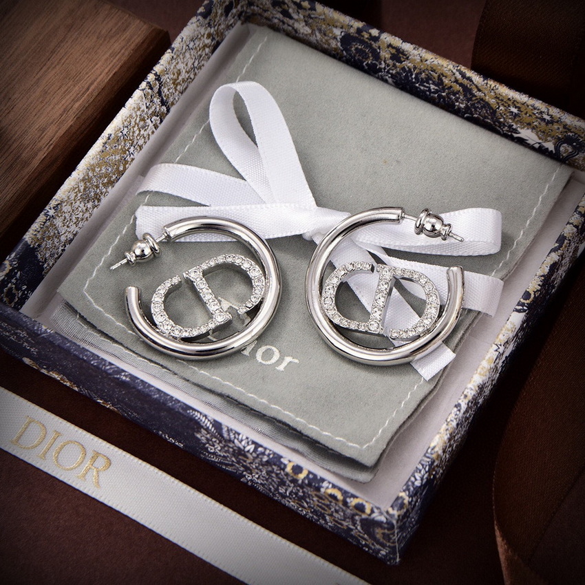 Dior Earrings-106