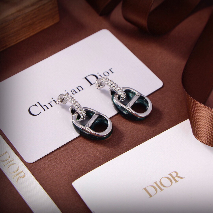 Dior Earrings-103