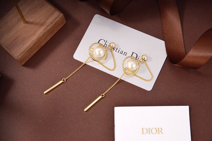 Dior Earrings-100