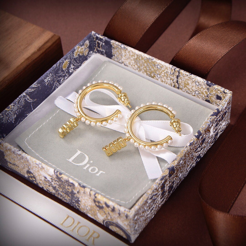 Dior Earrings-099
