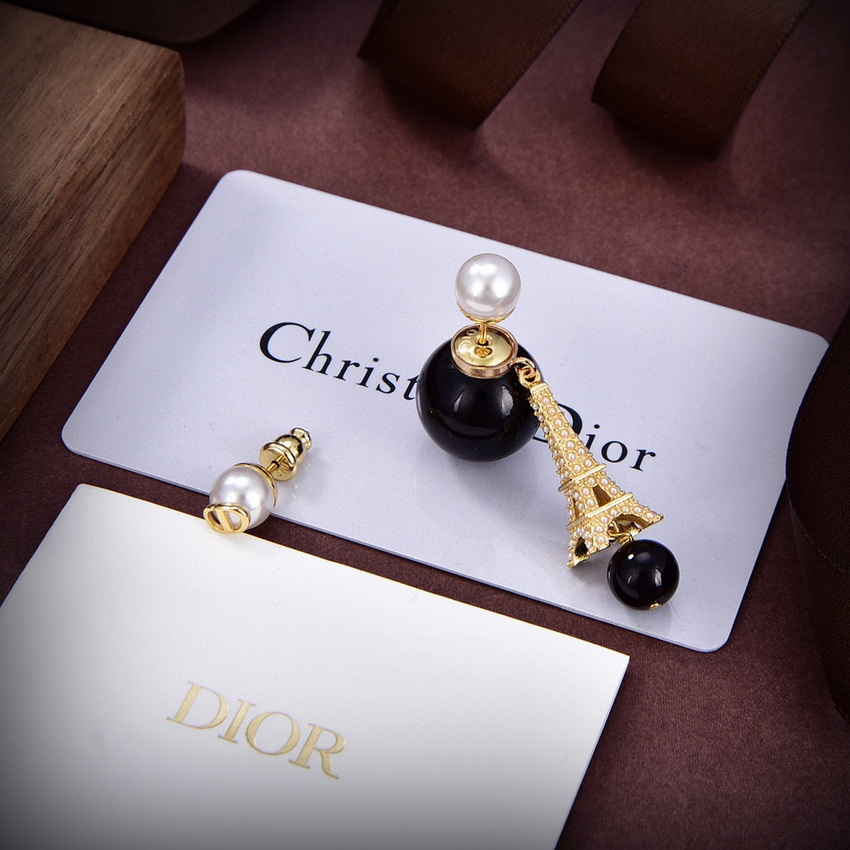 Dior Earrings-096