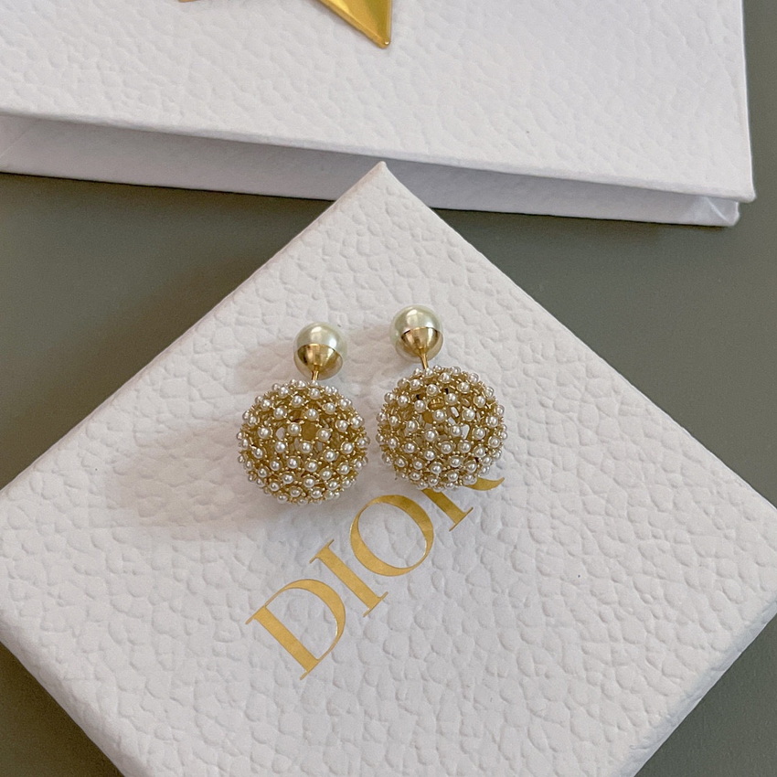 Dior Earrings-094