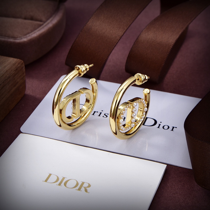 Dior Earrings-091